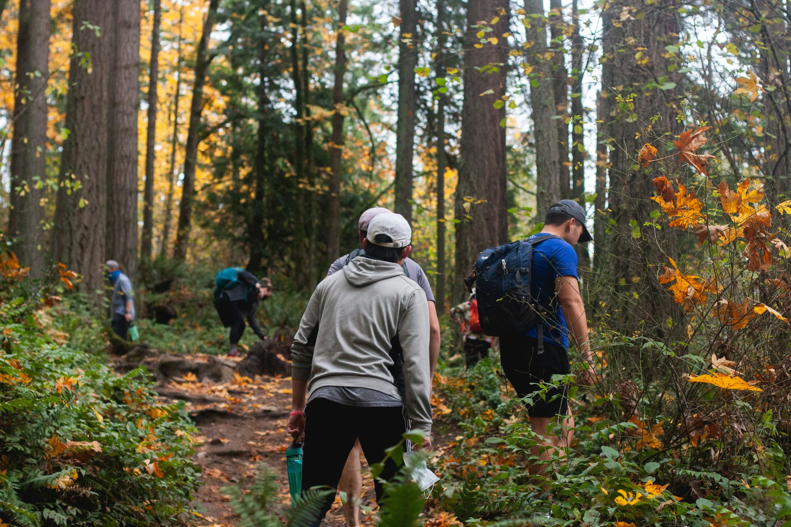 Trail Work Parties