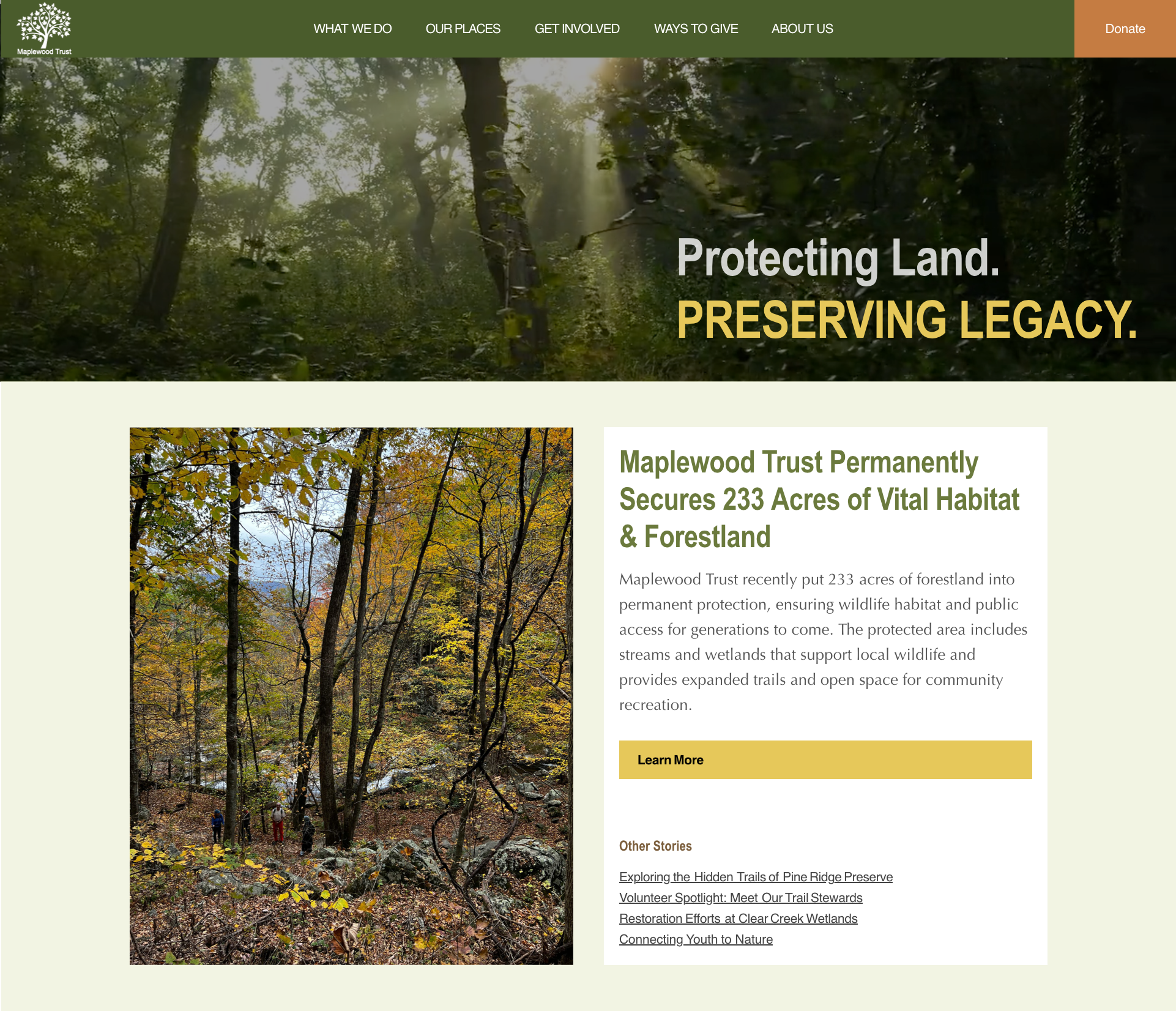 Web Page Design