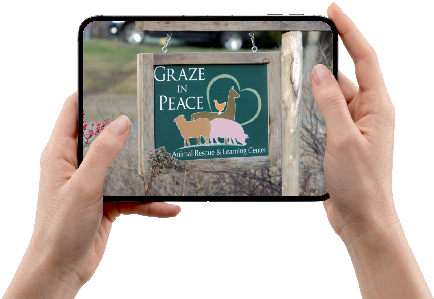 Graze sign 5