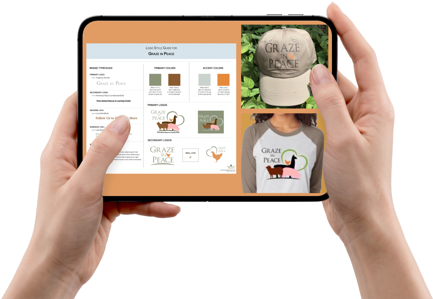 graze merch